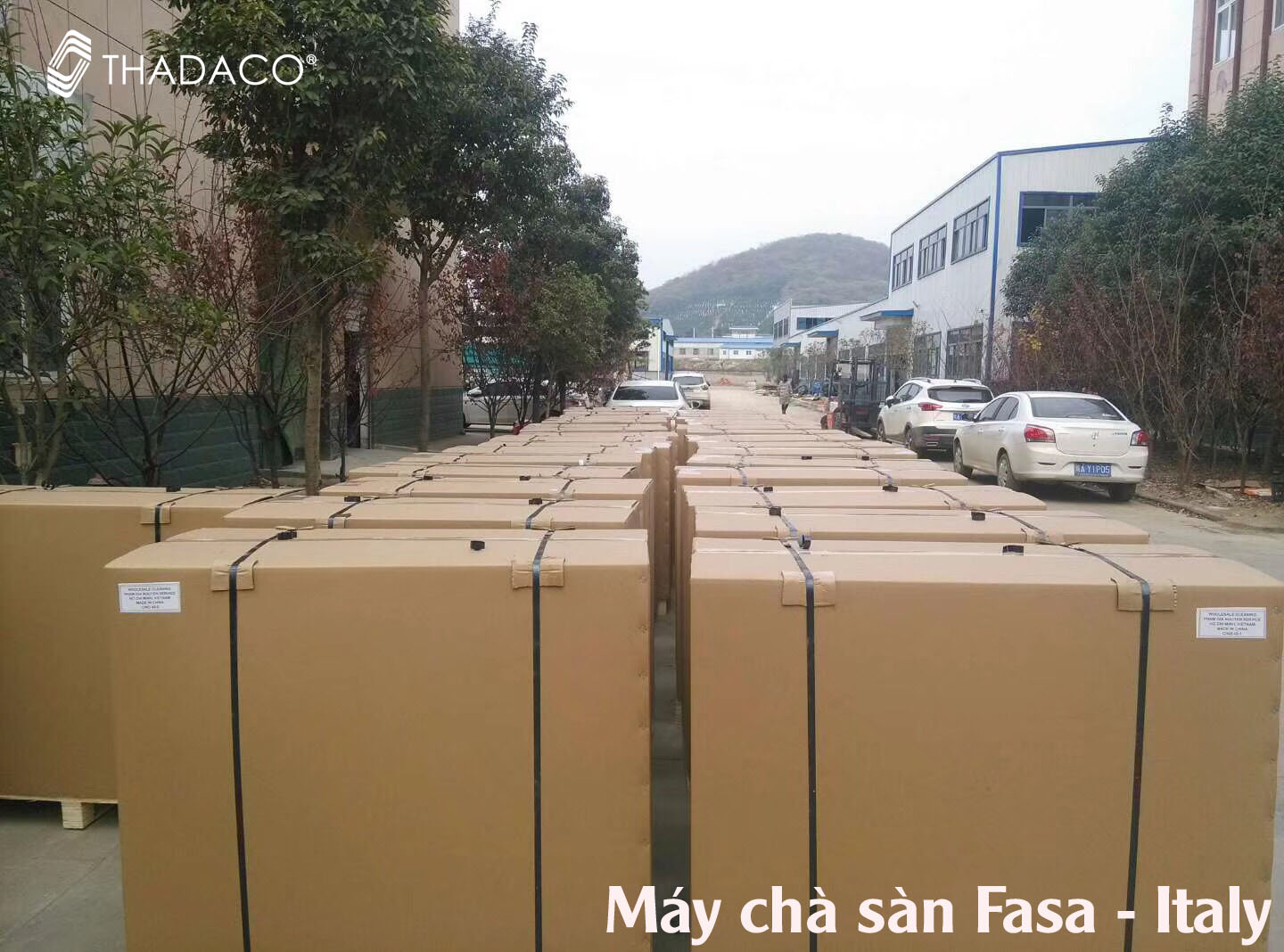 may cha san fasa